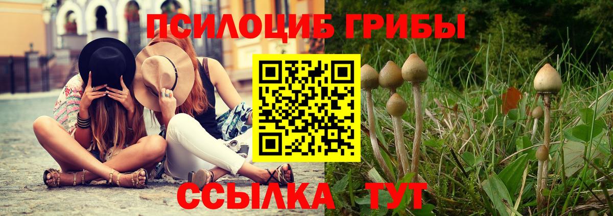Псилоцибиновые грибы мицелий  Вход с VPN  Ивантеевка 